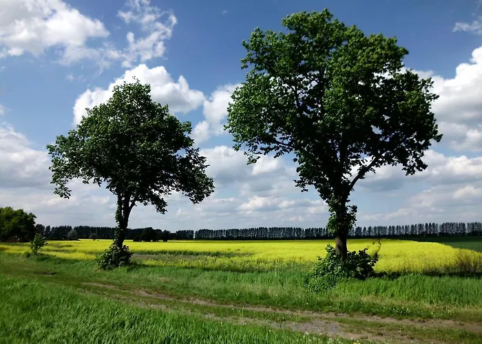 Guest house Am Radweg & Ristorante Juani